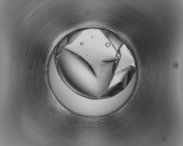 X0000113201288200910011247