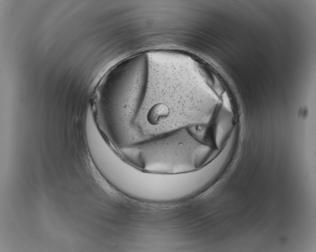 X0000113201289200910011247