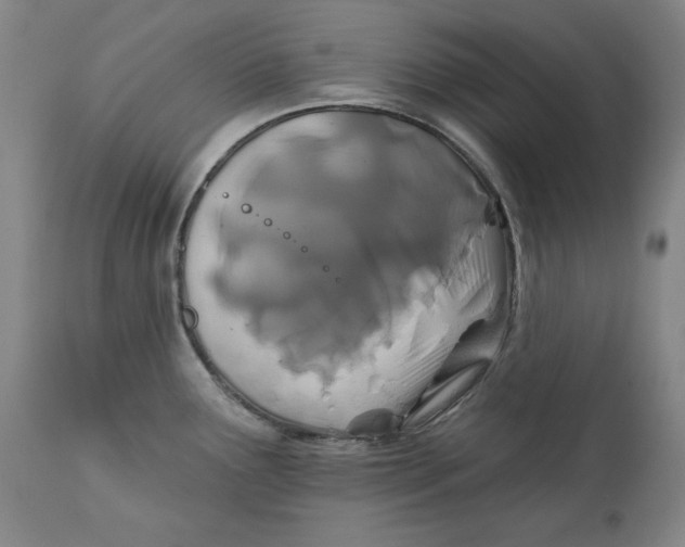 X0000113201291200910011247