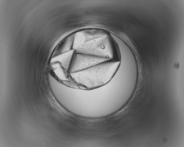 X0000113201292200910011247