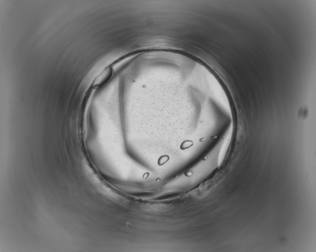 X0000113201293200910011247