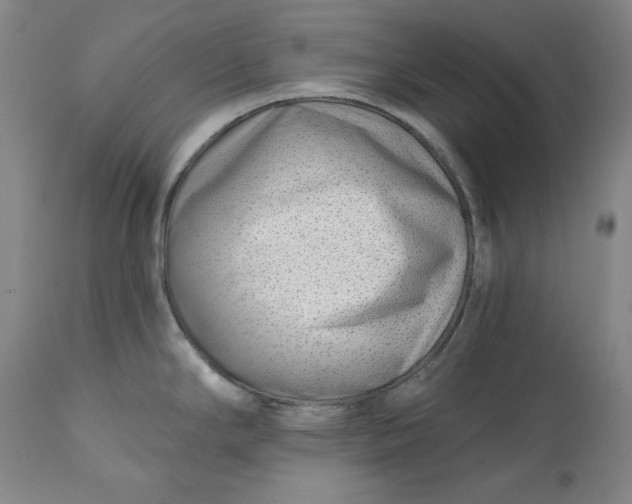 X0000113201294200910011247