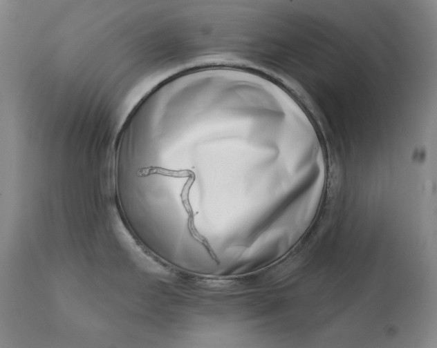 X0000113201295200910011247