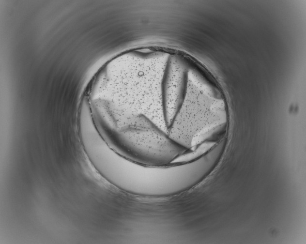 X0000113201296200910011247