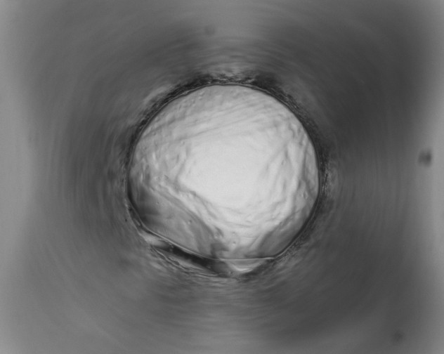 X0000113201297200910011246