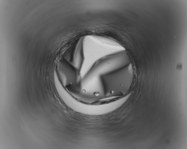 X0000113201298200910011246