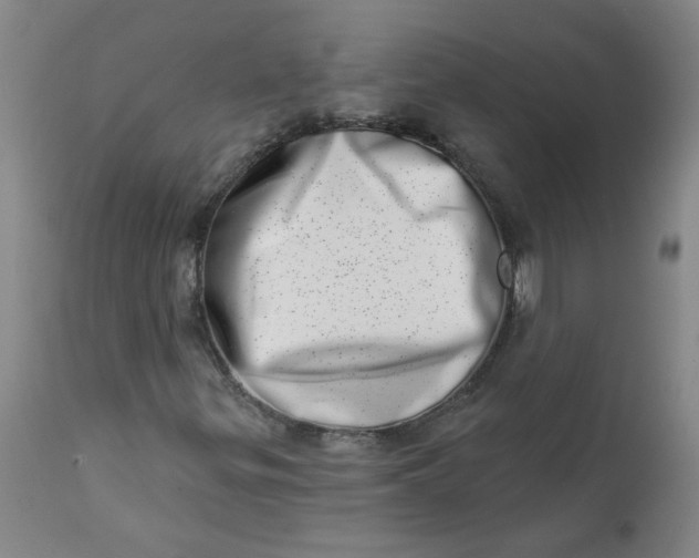 X0000113201299200910011246