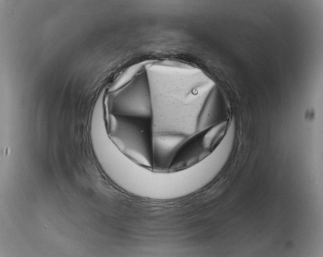 X0000113201300200910011246