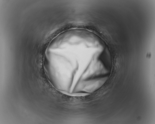 X0000113201301200910011246