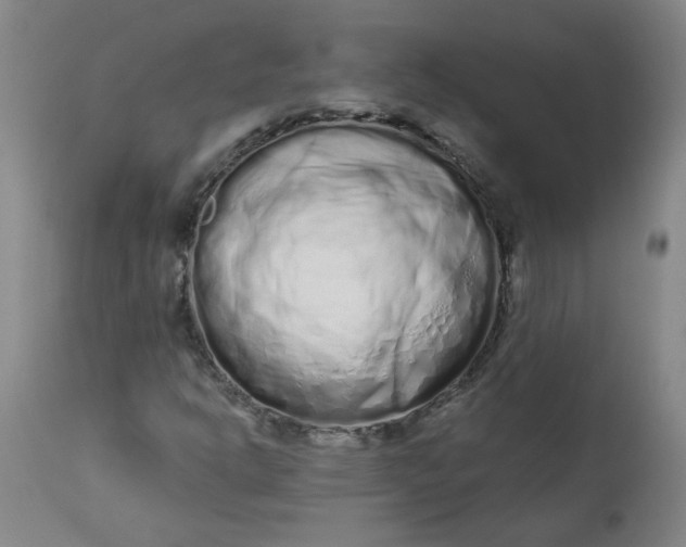 X0000113201302200910011246