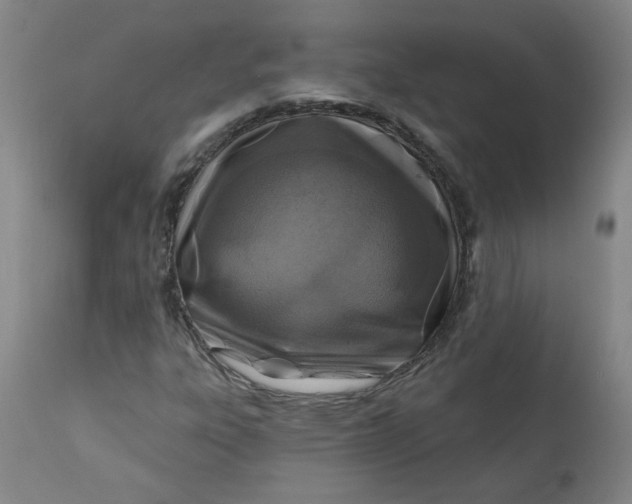 X0000113201303200910011246