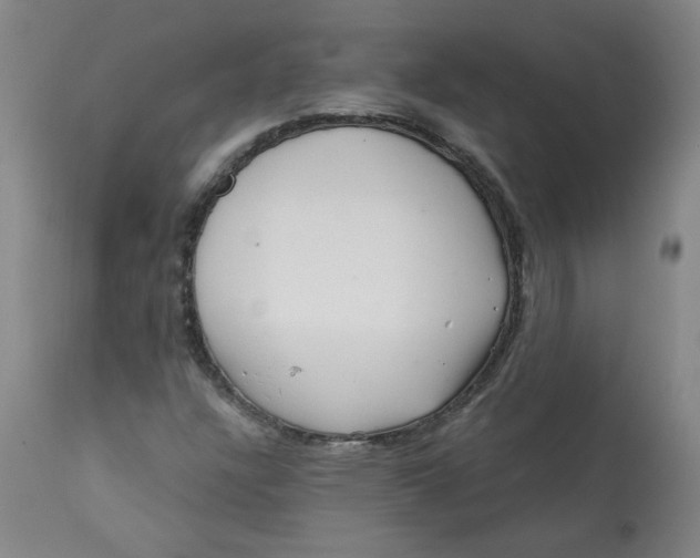 X0000113201304200910011246