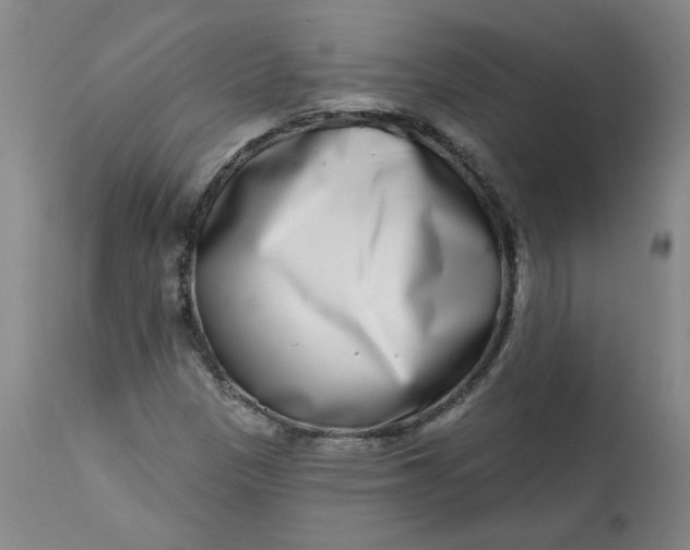 X0000113201305200910011246