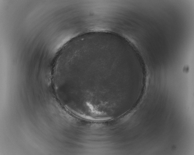 X0000113201306200910011246