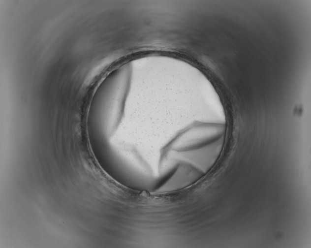 X0000113201307200910011246