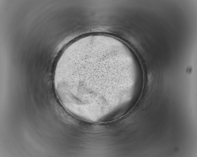 X0000113201308200910011246