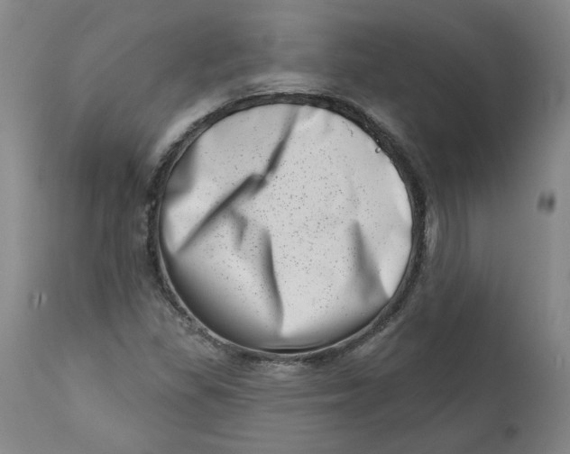 X0000113201309200910011246