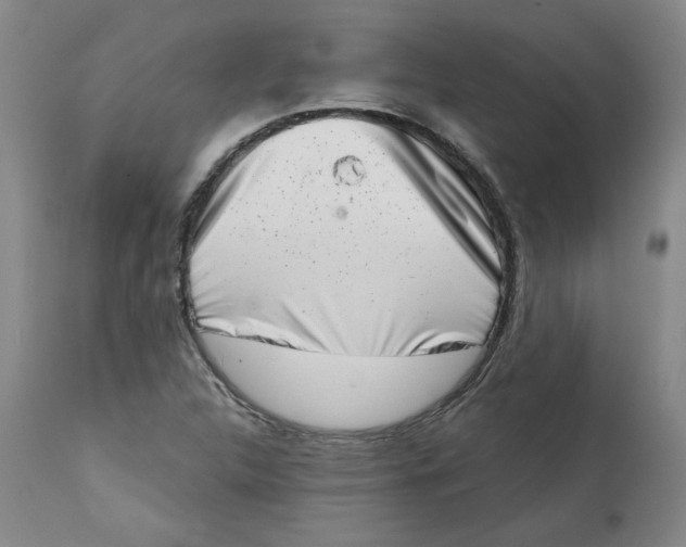 X0000113201312200910011247