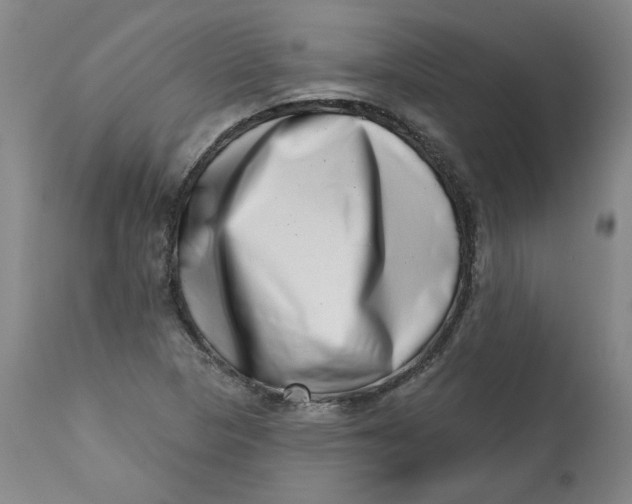 X0000113201313200910011247