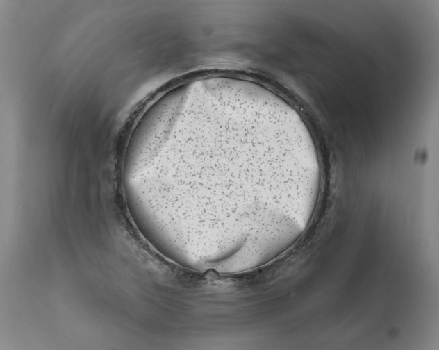 X0000113201315200910011247