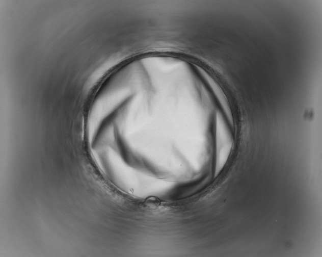 X0000113201317200910011247