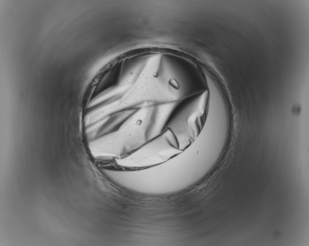 X0000113201320200910011247