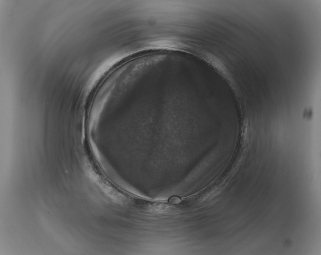 X0000113201323200910011247