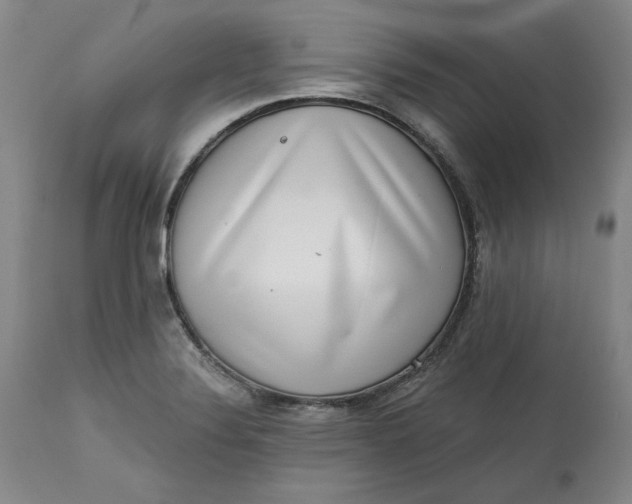 X0000113201324200910011247