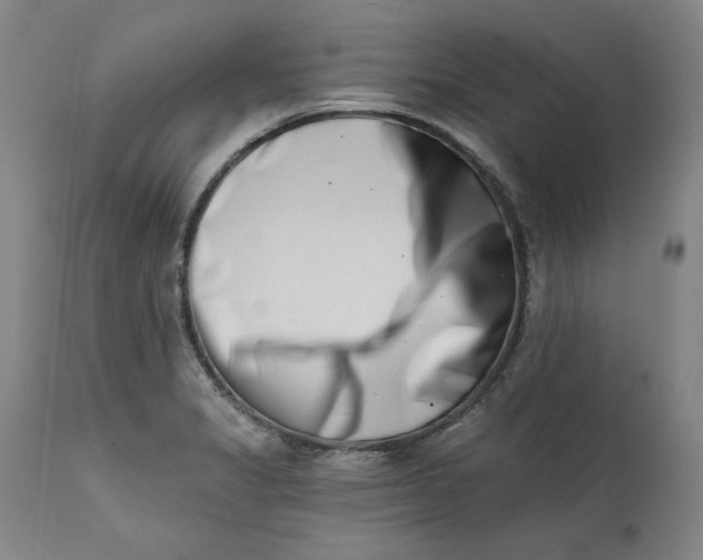 X0000113201325200910011247