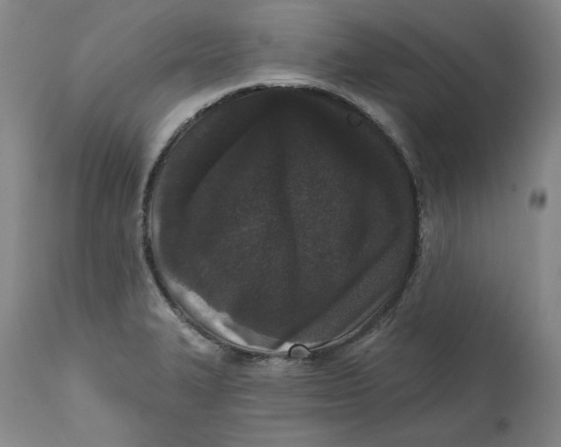 X0000113201327200910011247