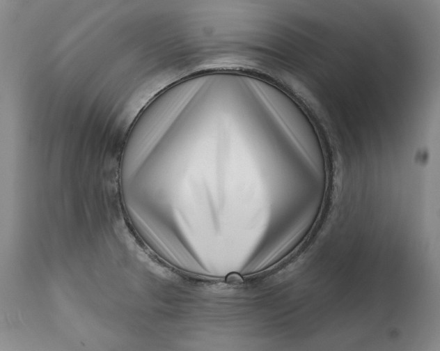 X0000113201329200910011247