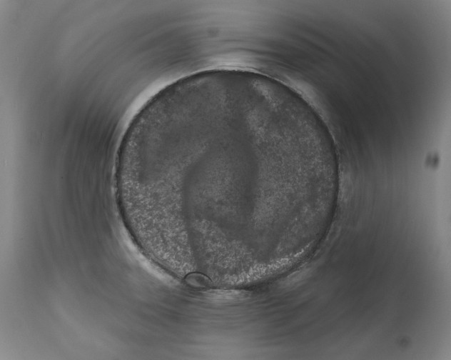 X0000113201331200910011247