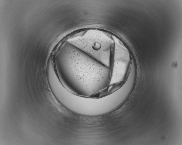 X0000113201332200910011247