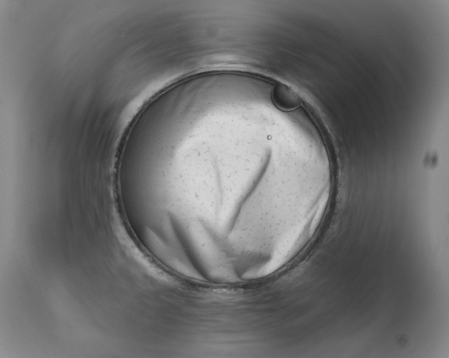 X0000113201333200910011247