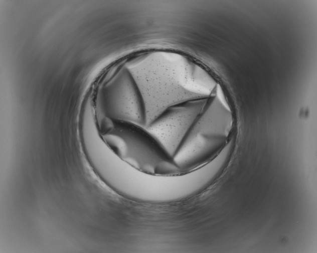 X0000113201334200910011247