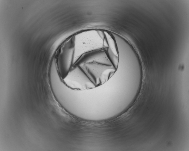 X0000113201336200910011247