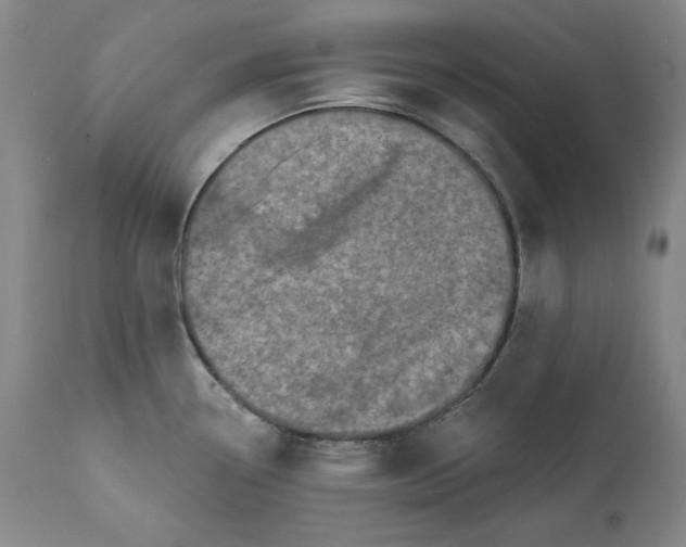 X0000113201338200910011247