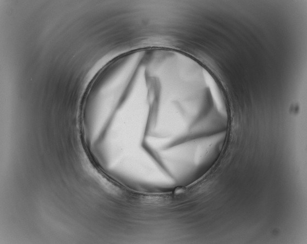 X0000113201339200910011247