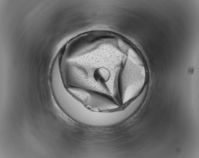 X0000113201342200910011247