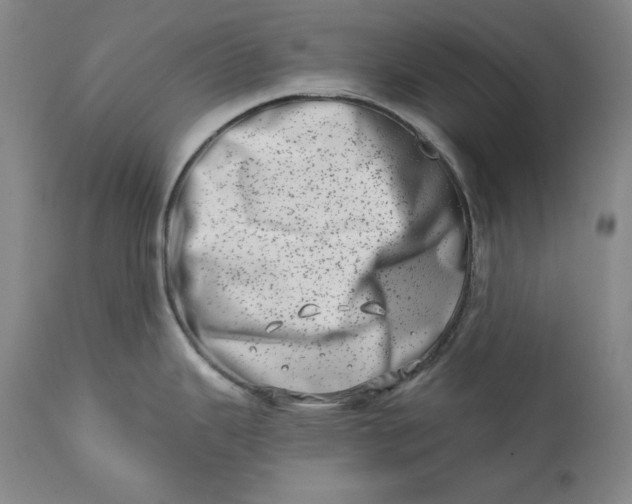 X0000113201343200910011247