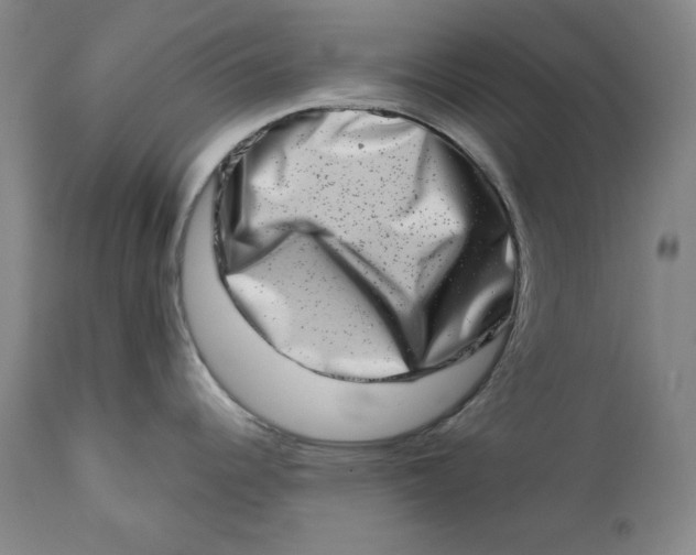 X0000113201344200910011247