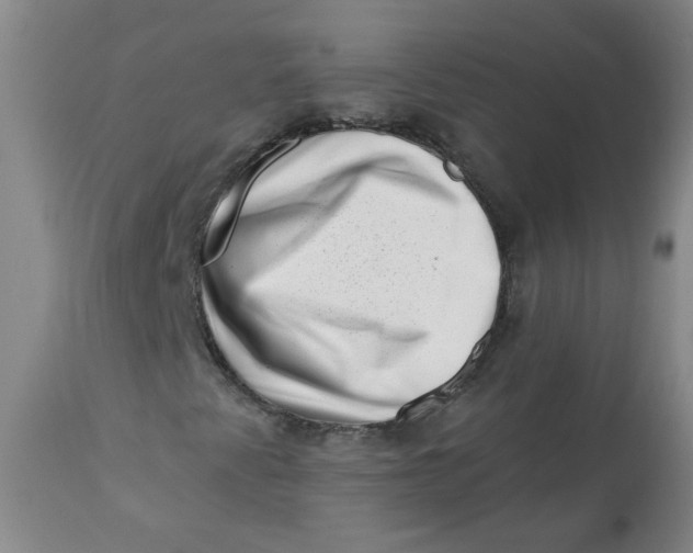 X0000113201345200910011246