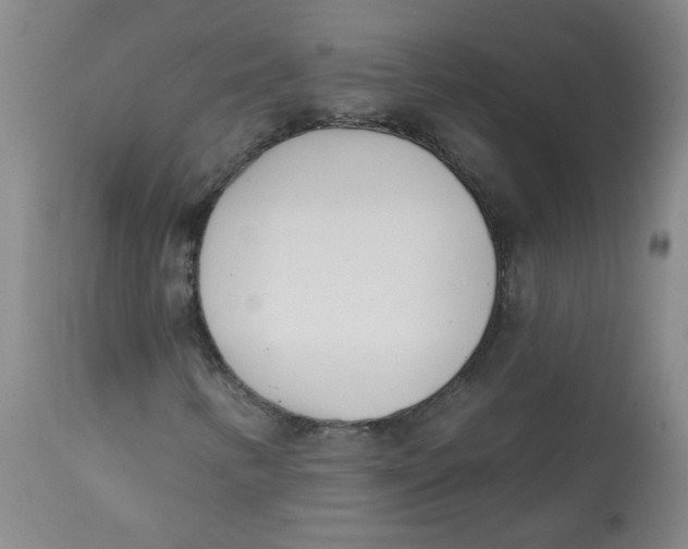 X0000113201346200910011246