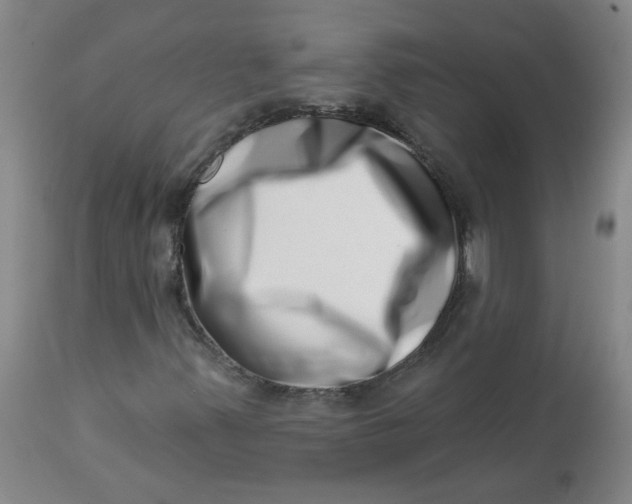 X0000113201347200910011246