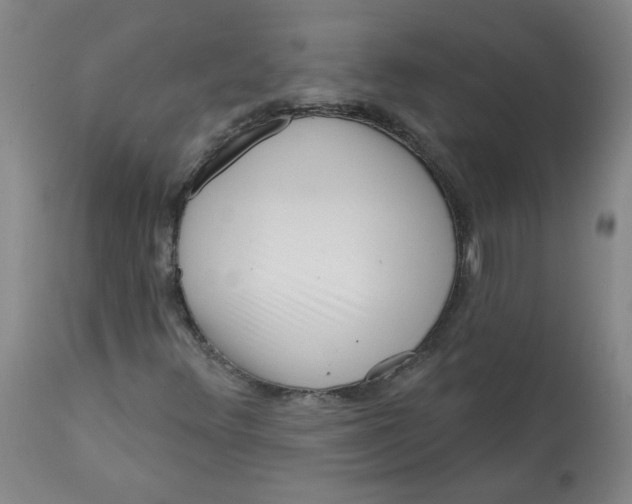 X0000113201348200910011246