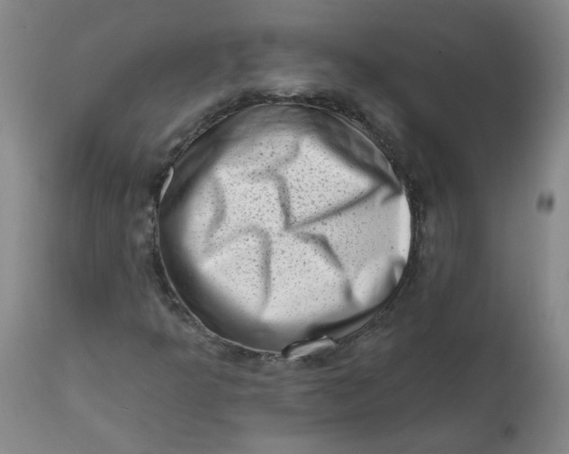 X0000113201349200910011246