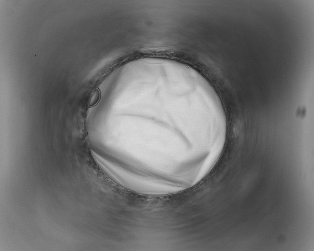 X0000113201350200910011246