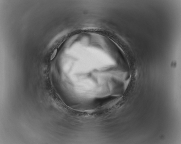 X0000113201351200910011246