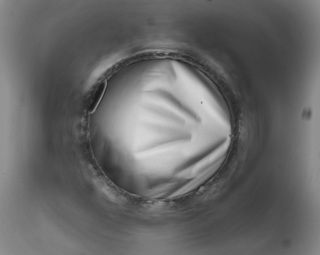 X0000113201352200910011246