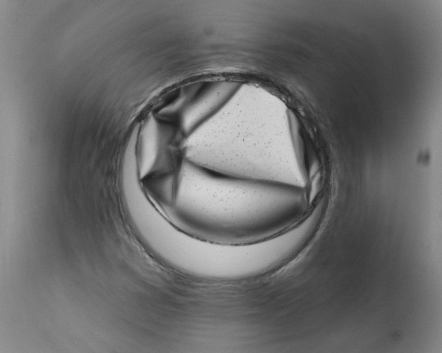 X0000113201353200910011246